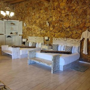Habitación Deluxe con 2 Camas Individuales
